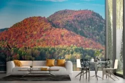 Forest on the lake autumn landscape wallpaper