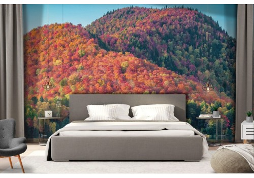 Forest on the lake autumn landscape wallpaper 2