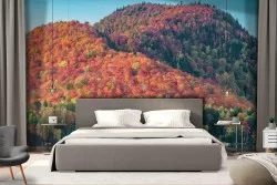 Forest on the lake autumn landscape wallpaper