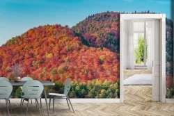 Carta da Parati Foreste e Alberi Prati e colline