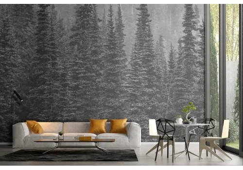 Forest landscape nature photography wallpaper