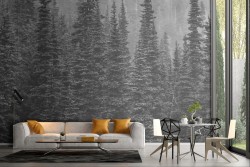 Carta da Parati bosco paesaggio natura fotografia