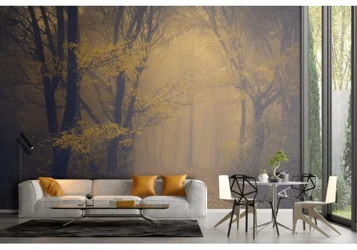 Wallpaper path in the dark forest landscape