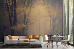 Wallpaper path in the forest dark landscape