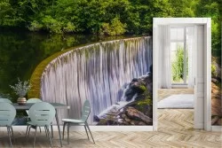 Carta da Parati Fiumi Cascate Laghi Foreste e Alberi