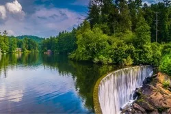 Wallpaper Flora and Fauna Landscapes and Nature Rivers Waterfalls Lakes Forests and Trees