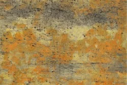 Carta da Parati Superfici e Texture Legno