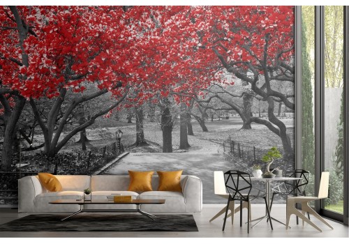 Carta da Parati giardino con alberi fotografia moderna