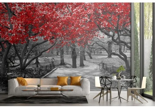 Garden wallpaper with modern tree photography