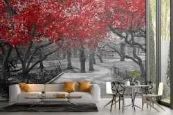 Wallpaper garden with modern photography trees