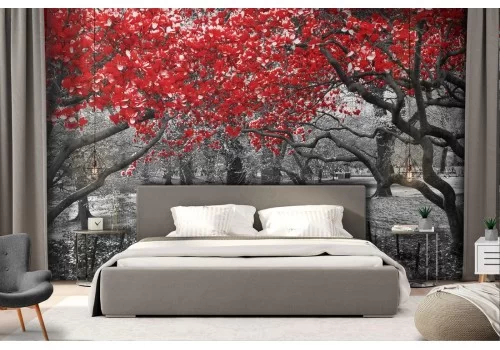 Carta da Parati giardino con alberi fotografia moderna 2