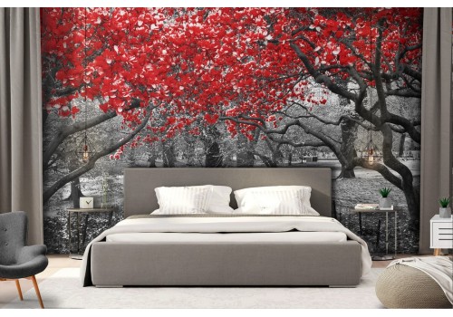 Wallpaper garden with modern photography trees 2