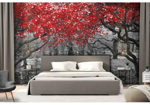 Wallpaper garden with modern photography trees 2