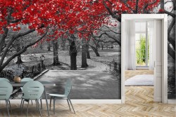 Carta da Parati Foreste e Alberi Giardini