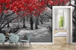 Wallpaper Forests and Trees Gardens