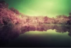 Wallpaper Flora and Fauna Landscapes and Nature Rivers Waterfalls Lakes Trees