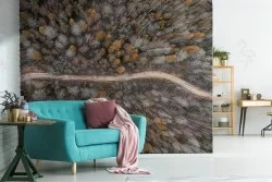 Carta da Parati sentiero nel bosco alberi panoramica