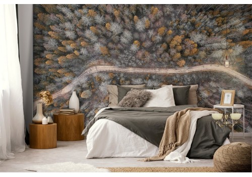 Wallpaper path in the forest trees panoramic 2