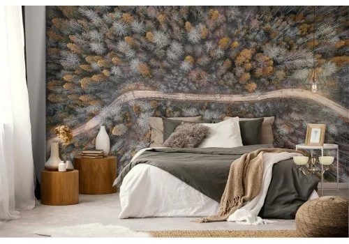 Wallpaper path in the forest trees panoramic 2