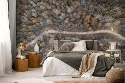 Carta da Parati sentiero nel bosco alberi panoramica