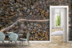 Carta da Parati Foreste e Alberi