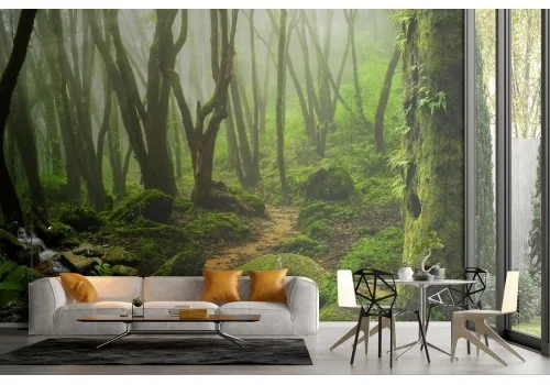 Wallpaper landscape forest with river nature