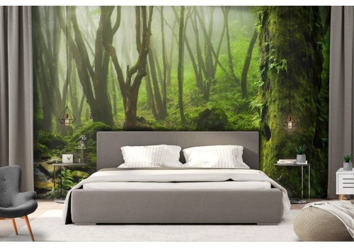 Wallpaper landscape forest with river nature 2
