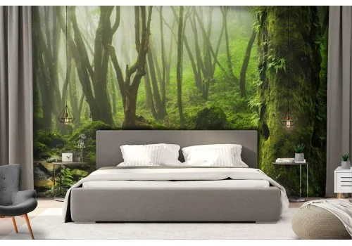Wallpaper landscape forest with river nature 2
