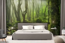 Wallpaper landscape forest with river nature