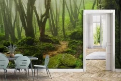 Carta da Parati Fiumi Cascate Laghi Foreste e Alberi