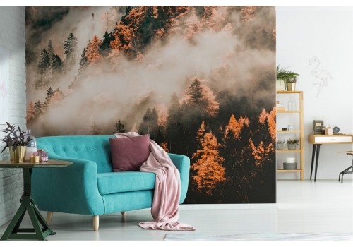 Forest wallpaper in the fog nature landscape