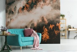 Carta da Parati bosco nella nebbia paesaggio natura