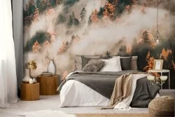 Forest wallpaper in the fog nature landscape