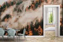 Wallpaper of Forests and Trees