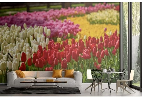 Carta da Parati giardino di tulipani natura paesaggio