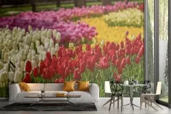 Wallpaper garden of tulips nature landscape