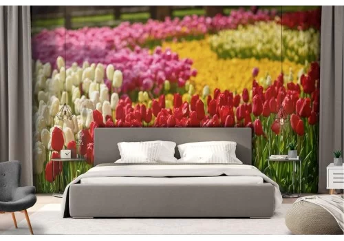 Carta da Parati giardino di tulipani natura paesaggio 2