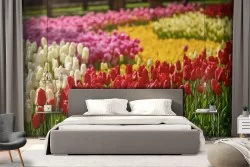 Wallpaper garden of tulips nature landscape