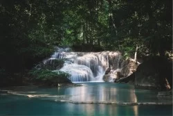 Carta da Parati Paesaggi e Natura Fiumi Cascate Laghi Tropicale