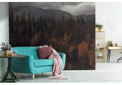 Wallpaper river in the forest autumn landscape trees