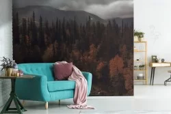 Carta da Parati fiume nel bosco autunno paesaggio alberi
