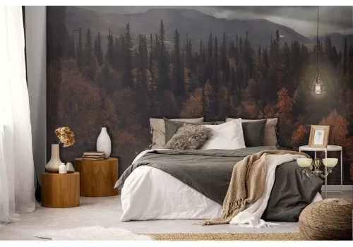 Carta da Parati fiume nel bosco autunno paesaggio alberi 2