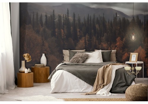 Wallpaper river in the forest autumn landscape trees 2