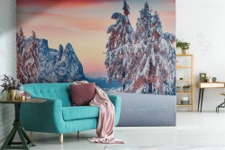 Wallpaper mountain trees snow landscape