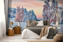 Wallpaper mountain trees snow landscape