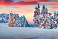 Wallpaper Landscapes and Nature Snow Mountain Forests and Trees