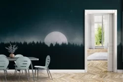 Carta da Parati Foreste e Alberi