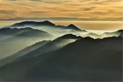 Carta da Parati Flora e Fauna Paesaggi e Natura Foreste e Alberi Montagna