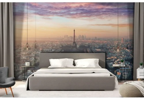 Carta da Parati Parigi panoramica città paesaggio 2