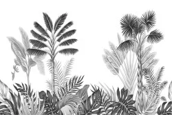 Carta da Parati Design e Stili Flora e Fauna Paesaggi e Natura Foglie Natura Tropicale